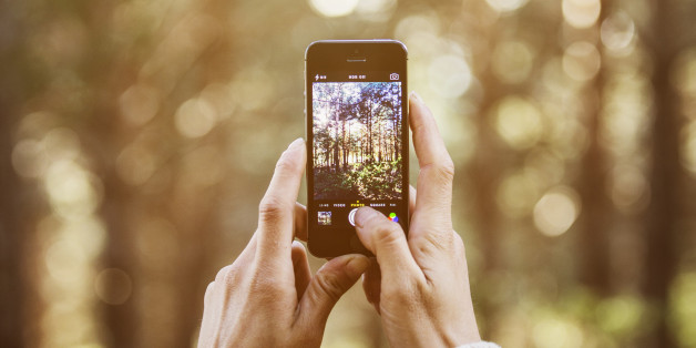 Woman photographing trees through smart phone